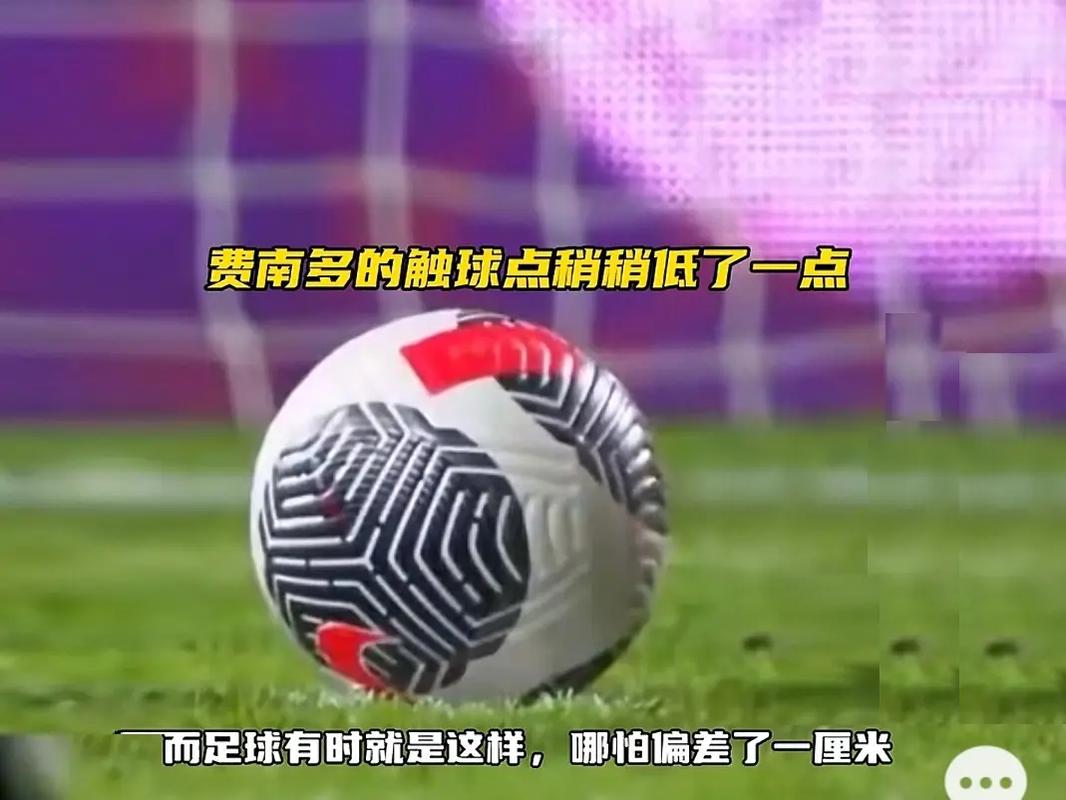 严谨调查
